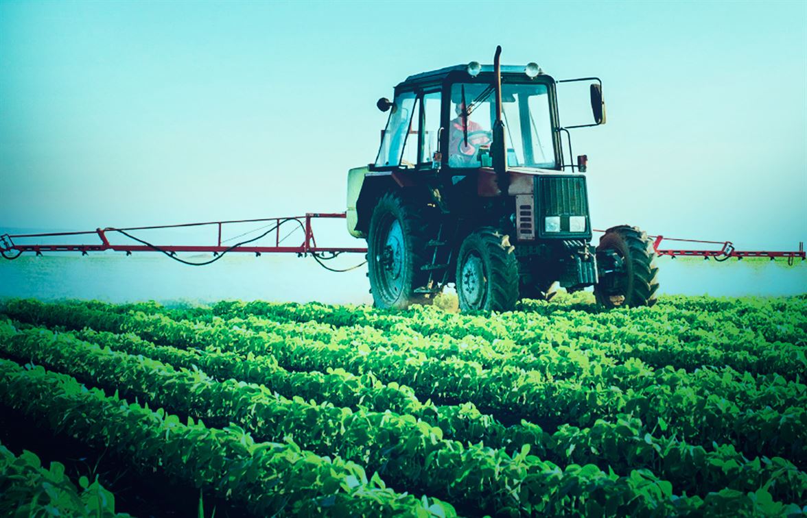 preparo-da-calda-pronta
