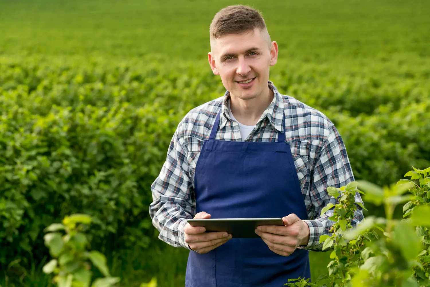 Um produtor rural está satisfeito com a sua produção