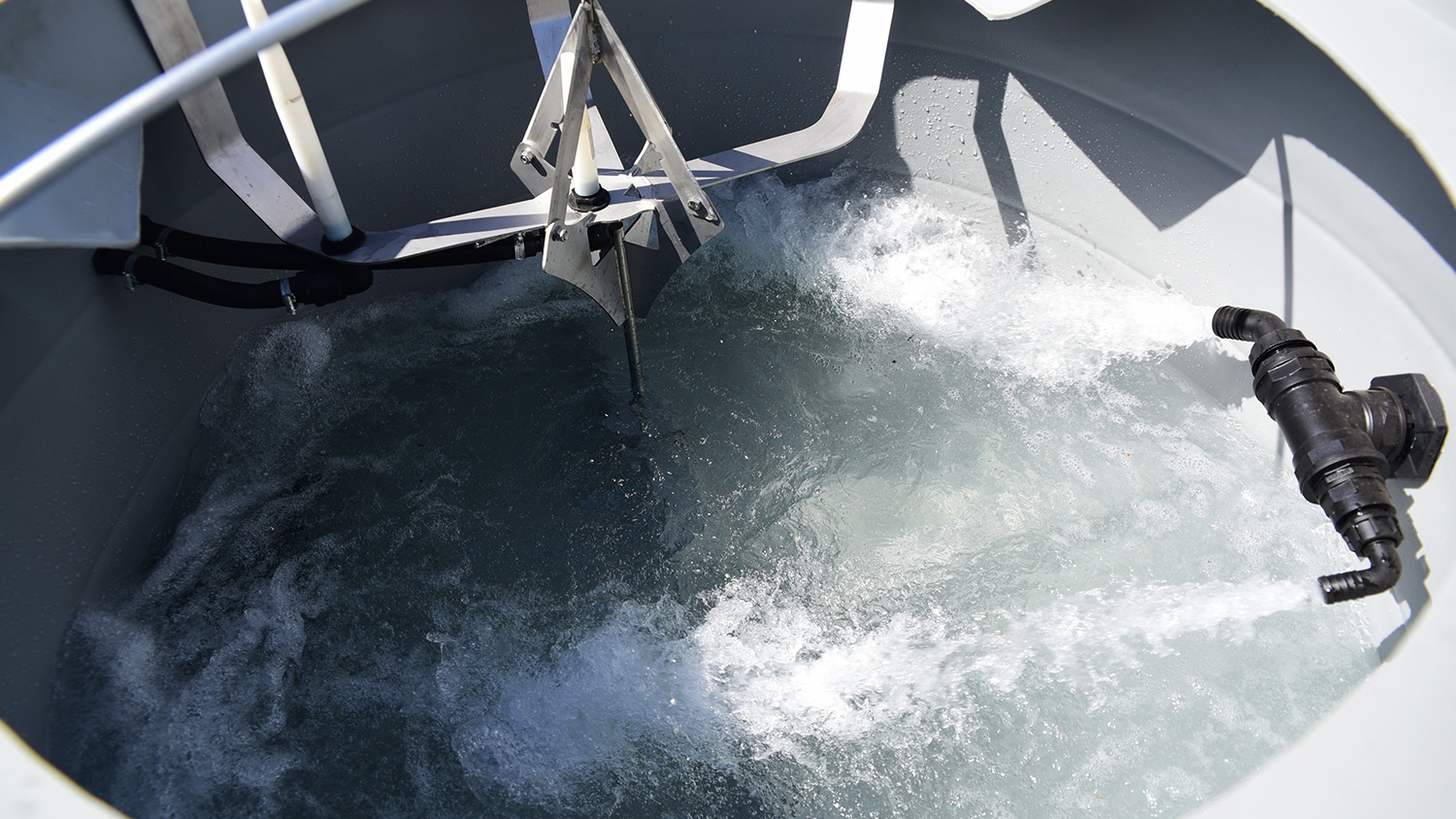 O segredo está na água